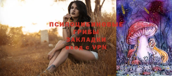 крисы Красноперекопск