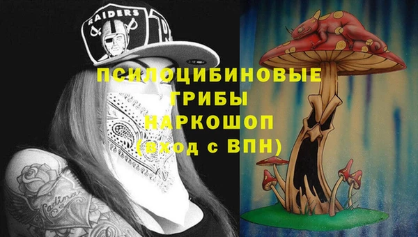 крисы Красноперекопск