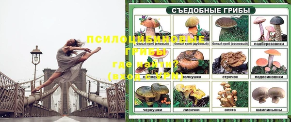 крисы Красноперекопск