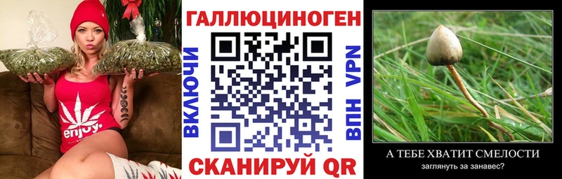 Галлюциногенные грибы прущие грибы Ногинск